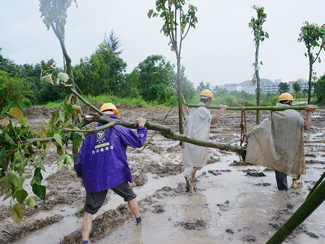 雨中涌跌参与活动的人们