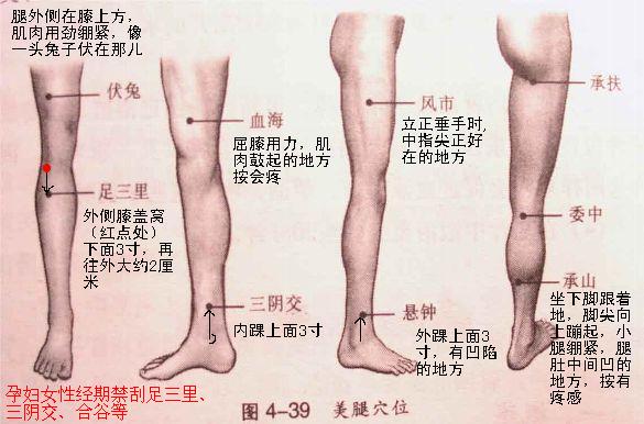 刮痧美腿按摩穴位图